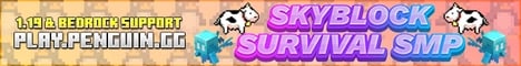 Server Banner